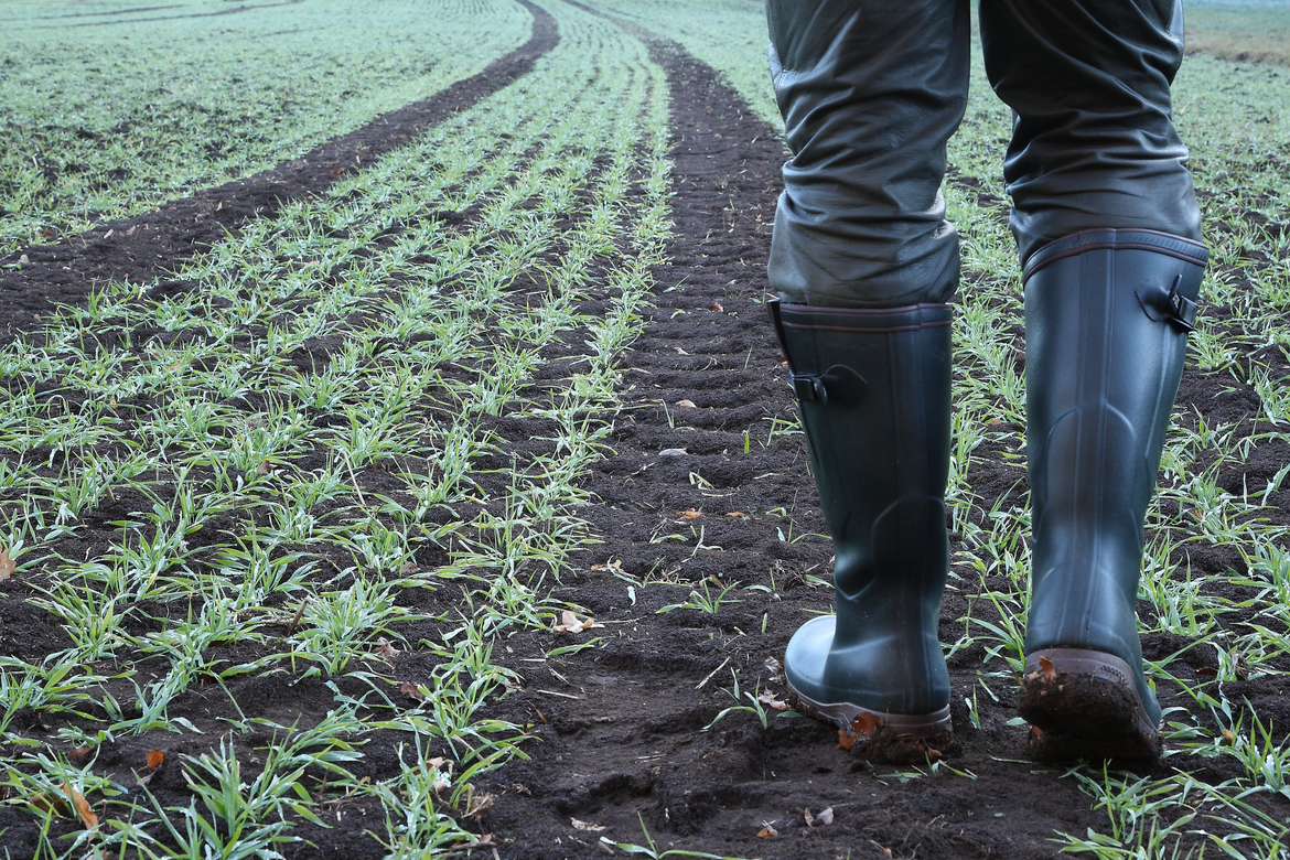 Farmworkers