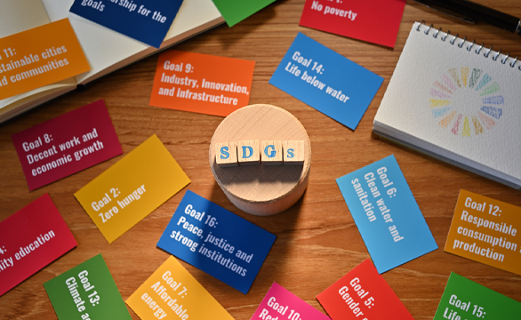 Our First Year as a Member of the SDG Publishers Compact