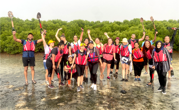 Planting What Nature Can Sustain: Mangroves in Ajman