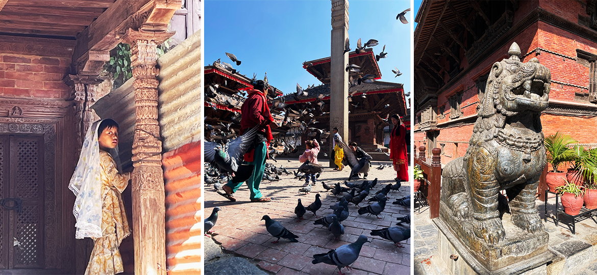 pigeons and people in a square